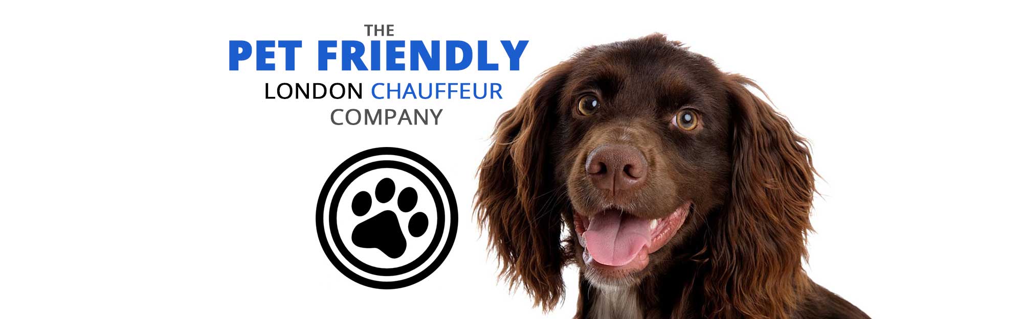 pet-friendly-london-chauffeur-company