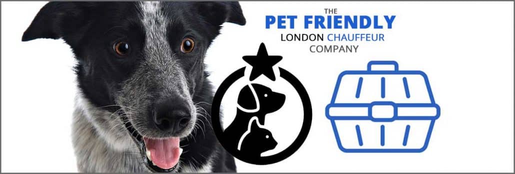 pet-friendly-london-chauffeurs