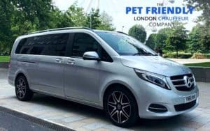 pet-chauffeur-london